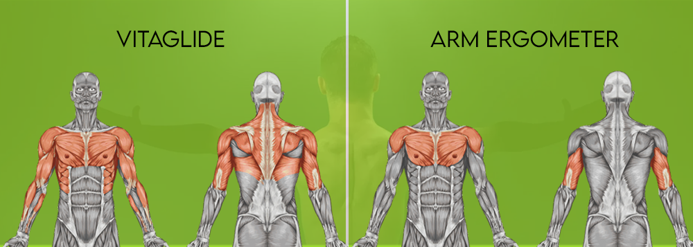 Comparison of muscles worked with VitaGlide vs. Arm Ergometer